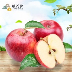 【榆林扶贫馆】米脂县 青创联盟 米脂苹果（80-90） 24颗/箱