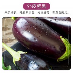 【延安扶贫馆】黄陵县 雷震蔬菜 轩炎田茄子 4斤 6斤 10斤