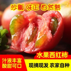 【延安扶贫馆】黄陵县 雷震蔬菜 轩炎田西红柿 4斤 6斤 10斤