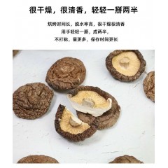【汉中扶贫馆】宁强县 宝珠观 宝珠冠原生态香菇500g/盒