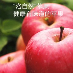 【延安扶贫馆】洛川县 洛自然 苹果（套袋）果径大于80mm 10斤礼盒装
