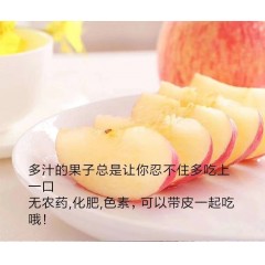 【延安扶贫馆】洛川县 洛自然 苹果（套袋）果径大于80mm 10斤礼盒装