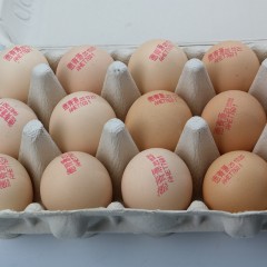 【商洛扶贫馆】山阳县 德青源 鲜鸡蛋礼盒装48枚