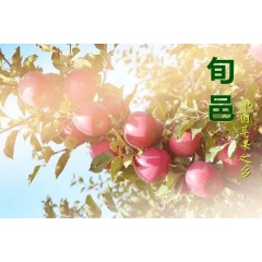 【咸阳扶贫馆】旬邑县 超凡子 蜜脆苹果礼盒装12枚