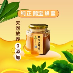 【汉中扶贫馆】  洋县 鹮宝土蜂蜜500g/瓶