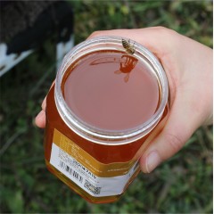 【宝鸡扶贫馆】 陇县 丰田蜂业 老帐人土蜂蜜简装500g/瓶