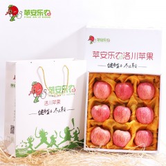 【延安馆】洛川县 苹安乐农 洛川苹果9枚礼盒装（果径约90mm 约3kg ）