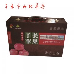 【延安扶贫馆】子长市 阳春农业 山地苹果6枚 礼盒装 果径约90-95mm