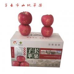 【延安扶贫馆】子长市 阳春农业 山地苹果16枚盒装 果径约80-85mm
