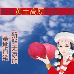 【渭南扶贫馆】澄城县 明康汇 伊美苹果4.5斤