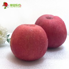 【延安扶贫馆】洛川县 安乐农果 洛川苹果 18枚/箱