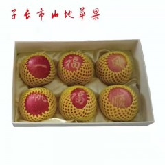 【延安扶贫馆】子长市 阳春农业 山地苹果6枚 礼盒装 果径约90-95mm