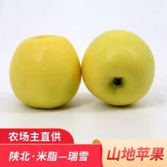 【榆林扶贫馆】米脂县海霞榆果米脂山地瑞雪苹果70-75mm16枚/箱