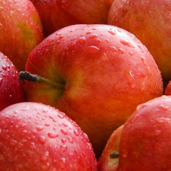 丝路红 苹果家庭装8.5斤