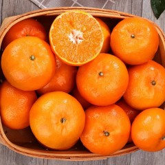 【GO汉阴】  新鲜水果桔子柑橘甜橘子9斤装