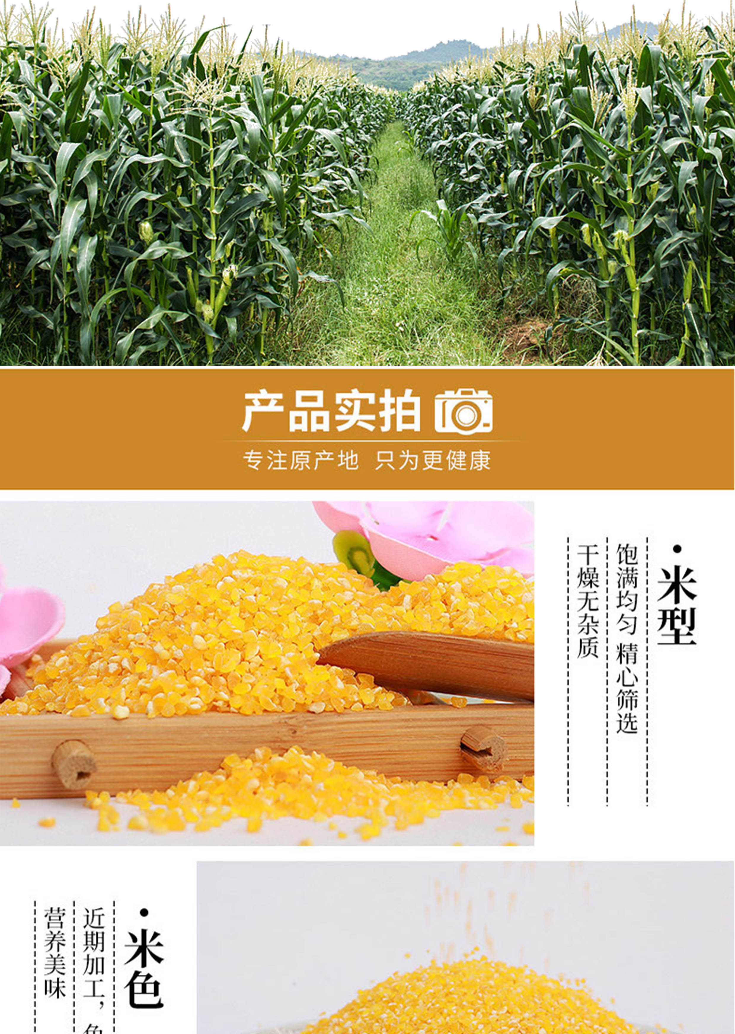 玉米糁详情图_04.jpg